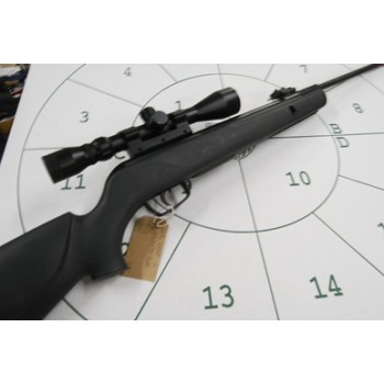 Gamo Hornet .22 With Scope
